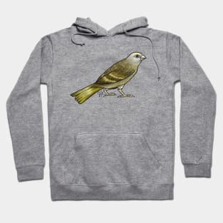 Bird - Canary - Green Hoodie